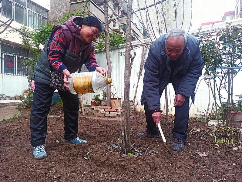 七旬老人小区义务植树40年